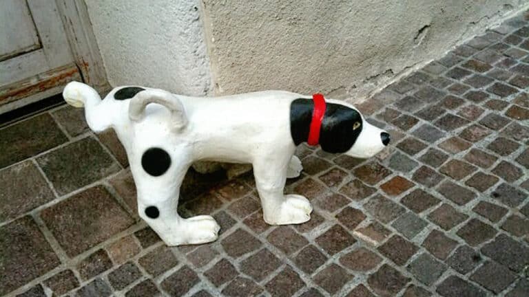 Pinkelnder Hund