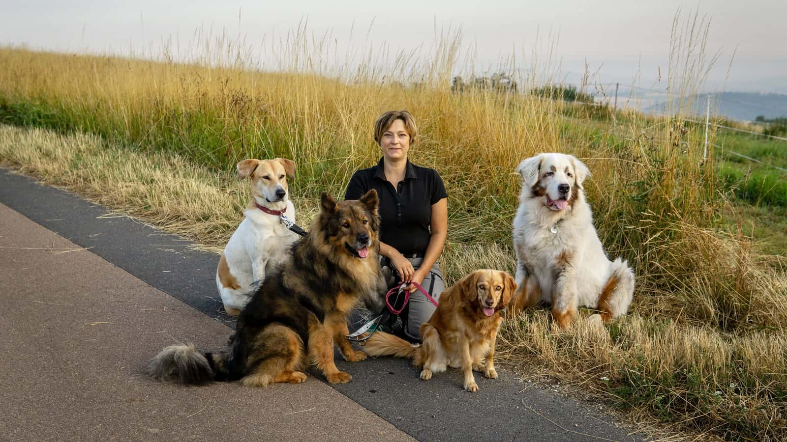 Hundepension mit Familienanschluss