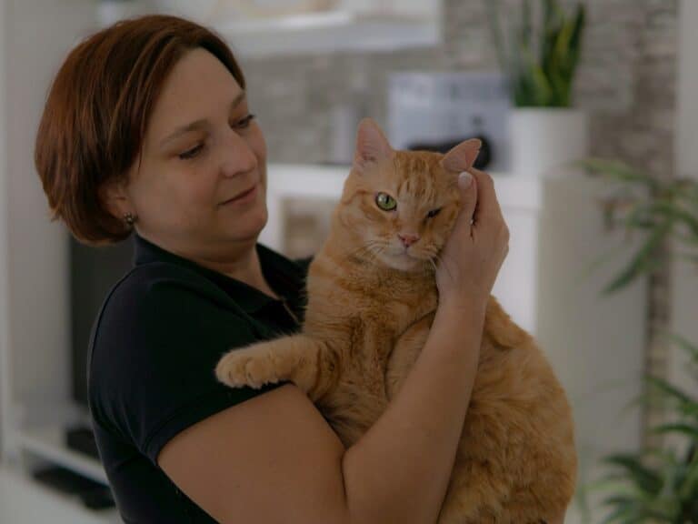 katzenbetreuung-streicheleinheit-tierservice-biancawolff