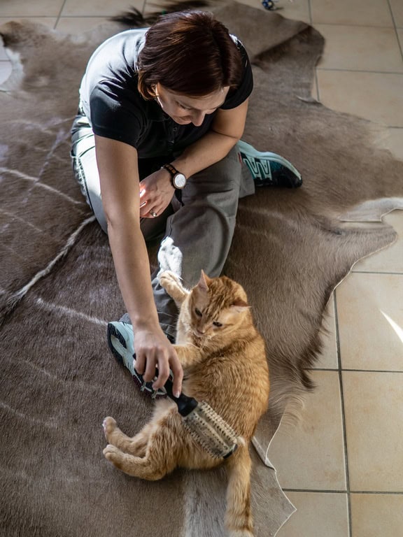 katzenbetreuung-tierservice-biancawolff