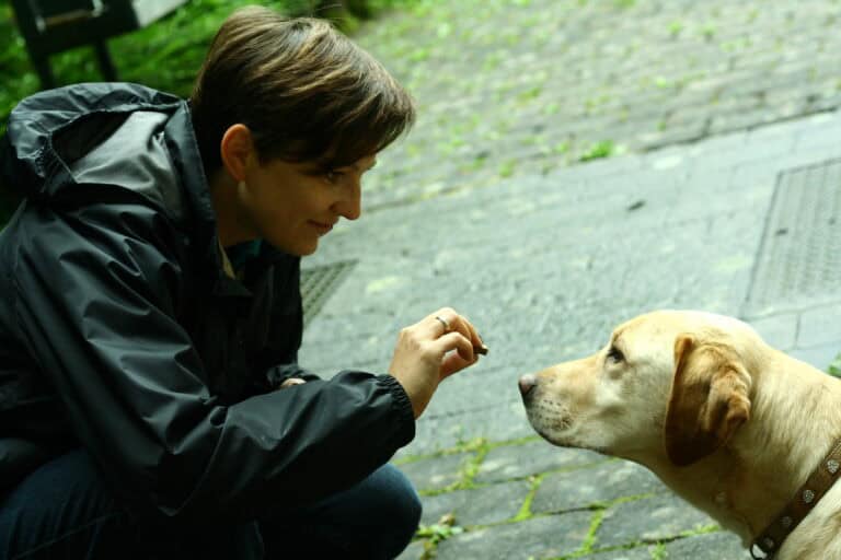 tierbetreuung-hund-leckerli-biancawolff