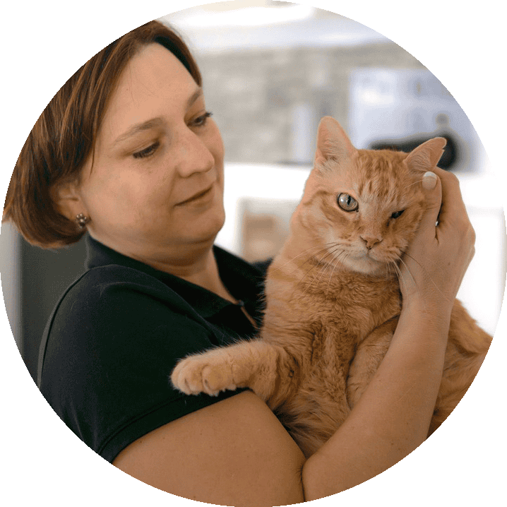 nl Katzenbetreuung, Tierservice, Bianca Wolff